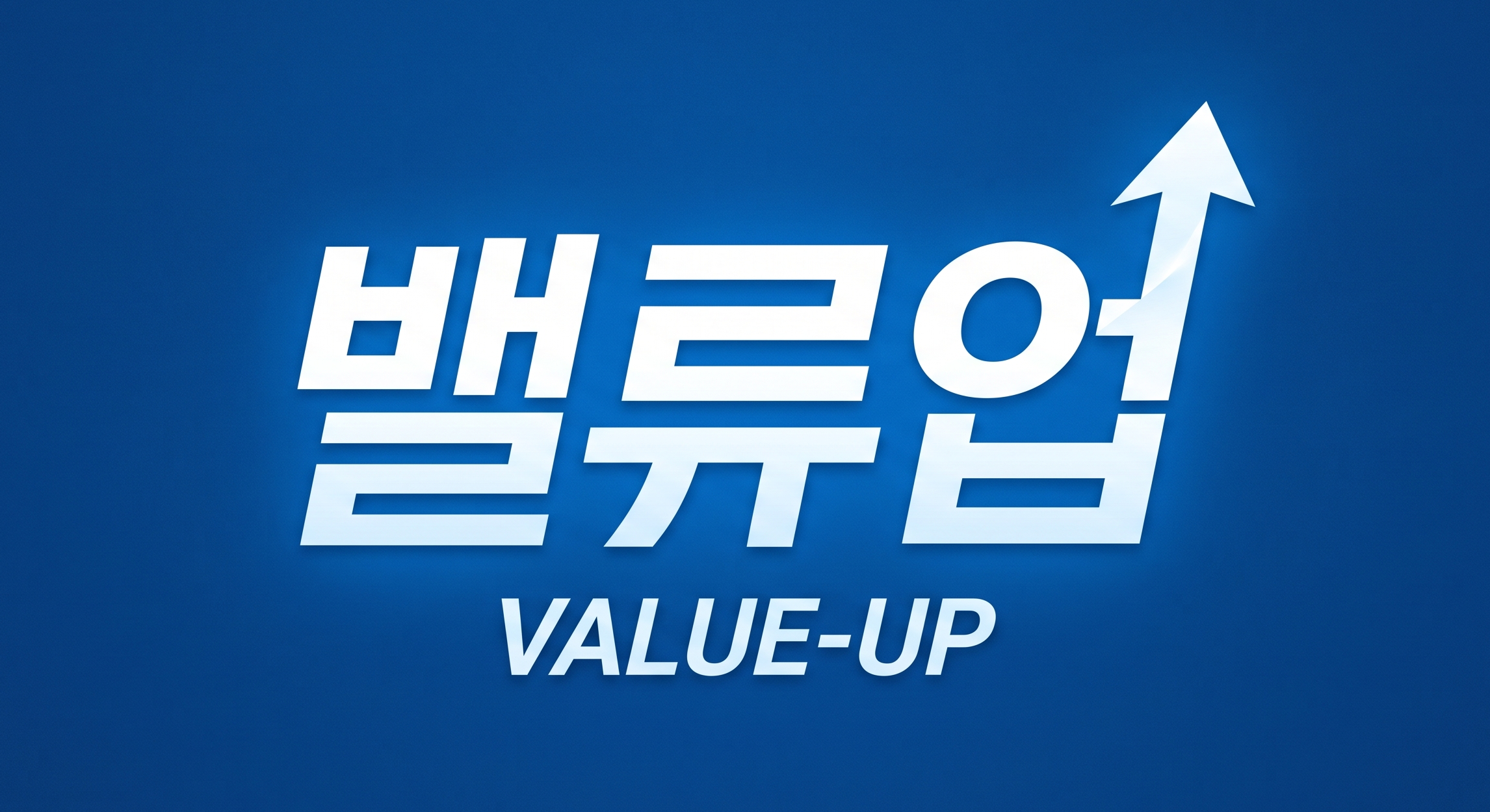 밸류업